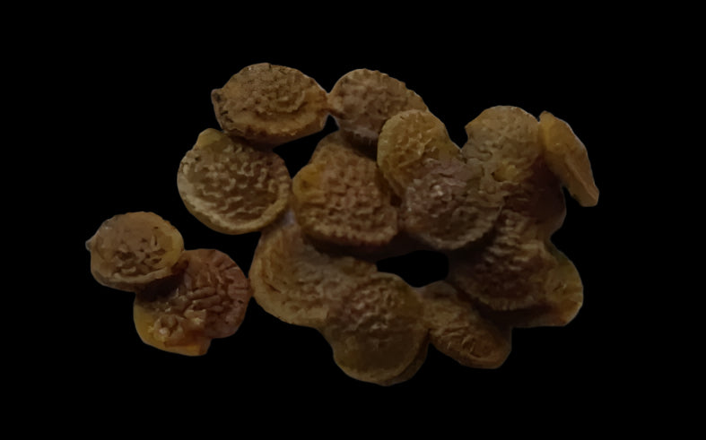 Adenia Lapiazicola 3 Pieces Seeds