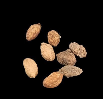 Cyphostemma Cornigera 4 Pieces Seeds
