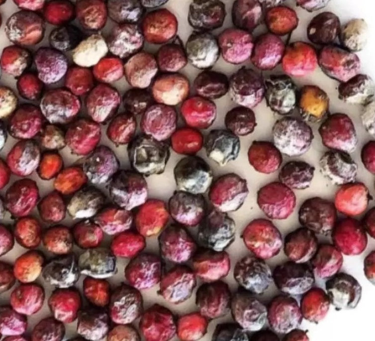 Operculicarya hyphaenoides 7 Pieces Seeds