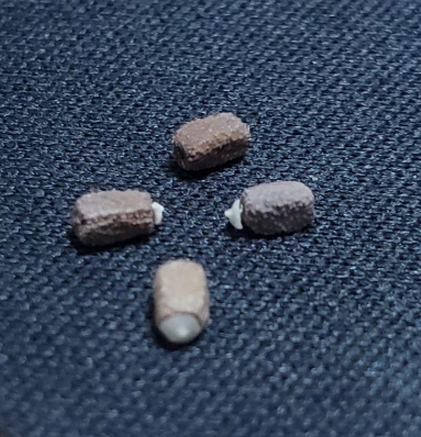 Euphorbia torrei 10 Pieces Seeds