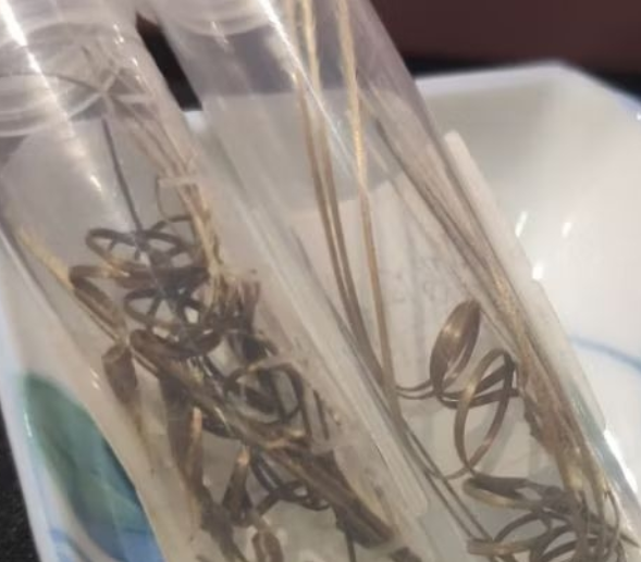 Monsonia spinosa 3 Pieces Seeds