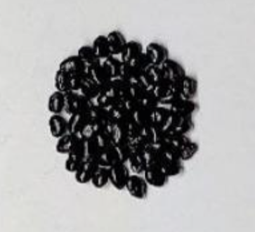 Carnegiea gigantea 10 Pieces Seeds