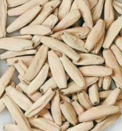 Adenium Godji 6 Pieces Seeds