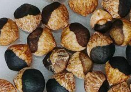 Bursera Laxiflora 10 Seeds