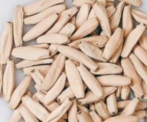 Adenium Hulk 6 Pieces Seeds