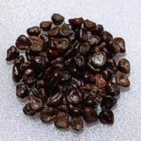 Astrophytum kikko turtle 10 Pieces Seeds