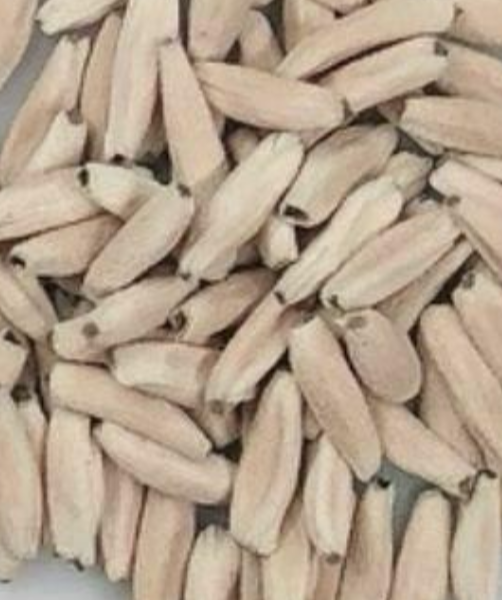 Adenium Tyson 6 Pieces Seeds