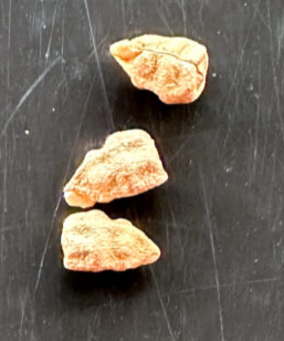 Euphorbia Etuberculosa 6 Pieces Seeds