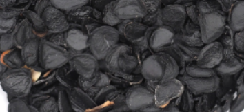 Agave macroacantha 10 Pieces Seeds