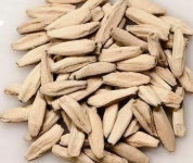 Adenium Obesum "Shishiba" (Lion Leaf) 6 Pieces Seeds