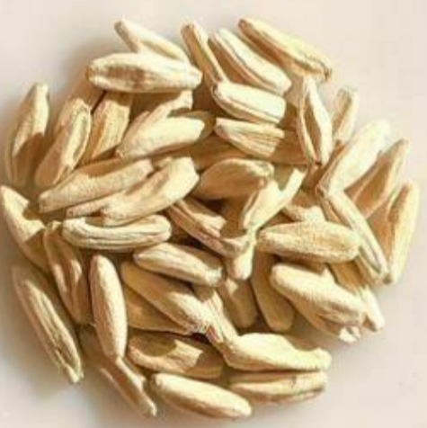 Adenium DHA Mong Gutsaman 5 Pieces Seeds