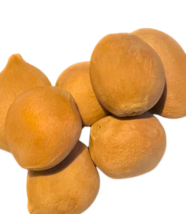 Cycas siamensis 2 Pieces Seeds