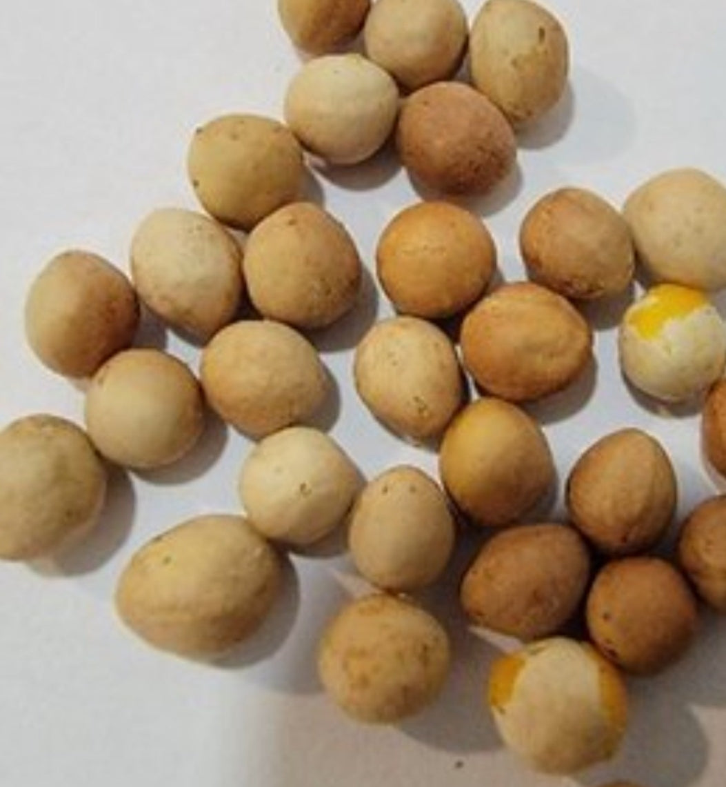 Bursera aptera 4 Pieces Seeds