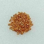 Delosperma napiforme 10 Pieces Seeds