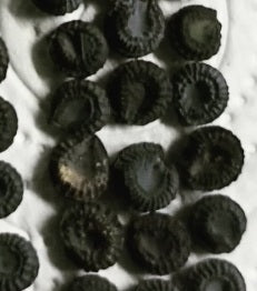 Stephania venosa 'Bloody Sap' 6 Pieces Seeds