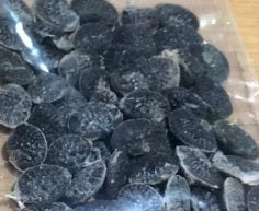 Adenia Viridiflora 6 Pieces Seeds