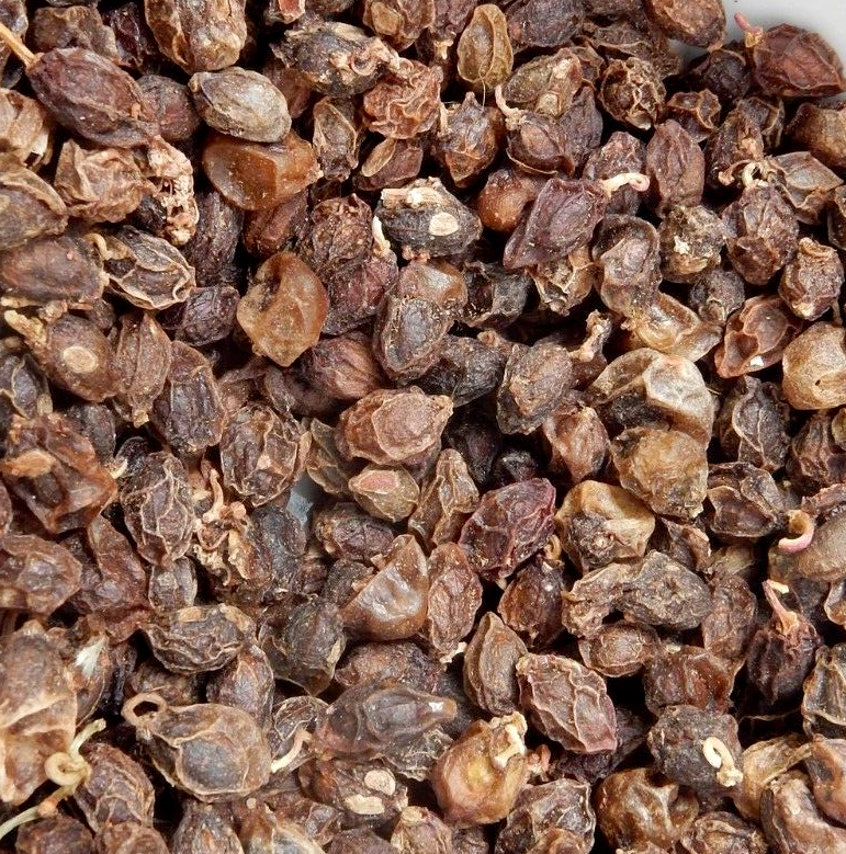 Cyphostemma Quinatum 4 Pieces Seeds