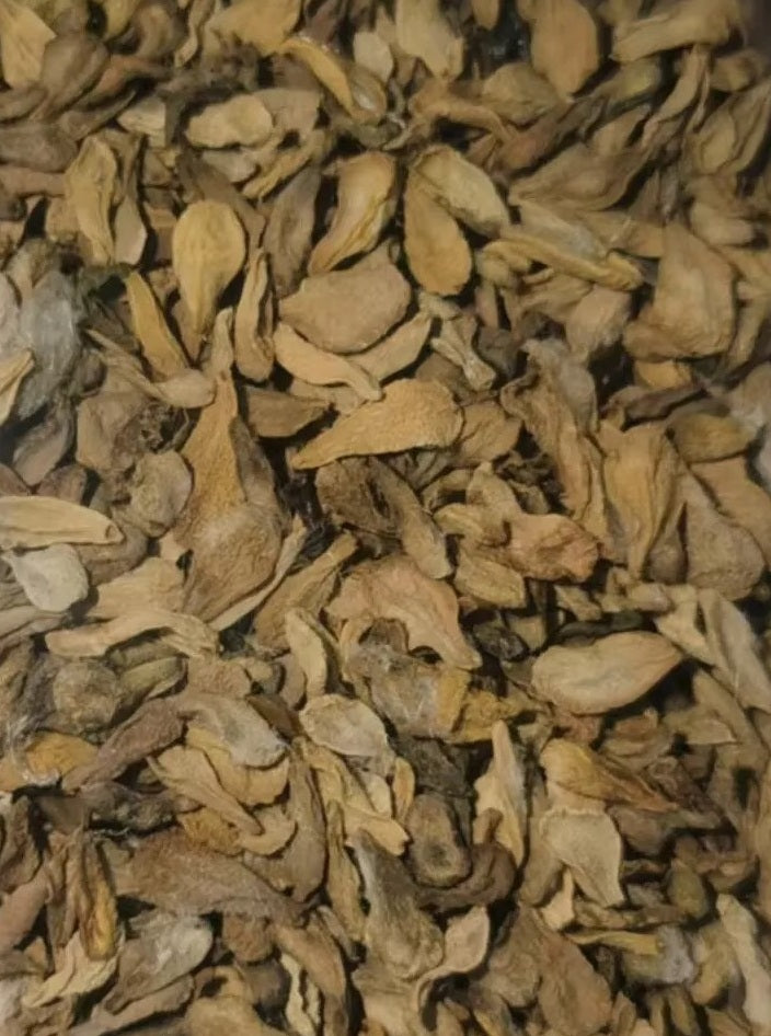 Pachypodium namaquanum 10 Pieces Seeds