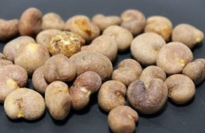 Adansonia ZA 10 Pieces Seeds