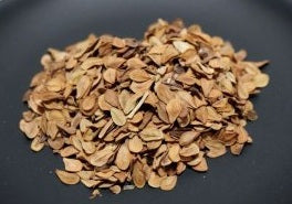 Pachypodium saundersii 6 Pieces Seeds