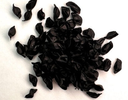 Aloe andringitrensis 10 Pieces Seeds