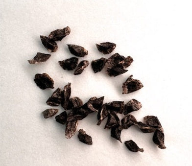 Aloe newtonii 10 Pieces Seeds