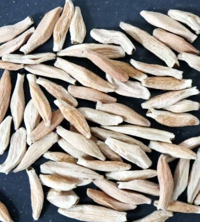 Adenium socotranum 8 Pieces Seeds