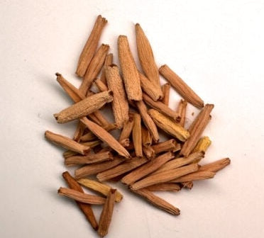 Adenium swazicum 6 Pieces Seeds