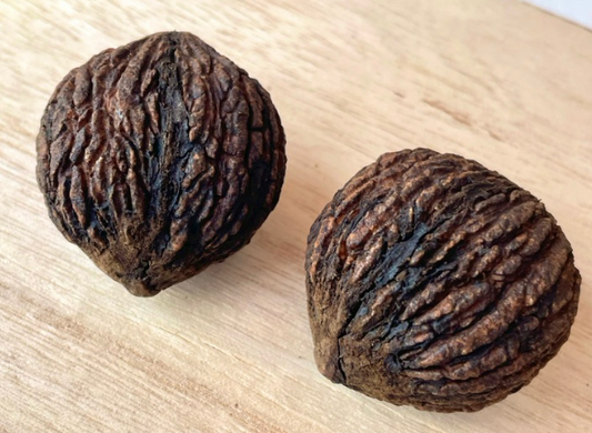 Juglans nigra ( black walnut ) 5 Pieces Seeds