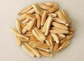 Adenium Omega 6 Pieces Seeds