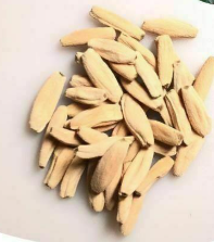 Adenium Red Bangle 6 Pieces Seeds