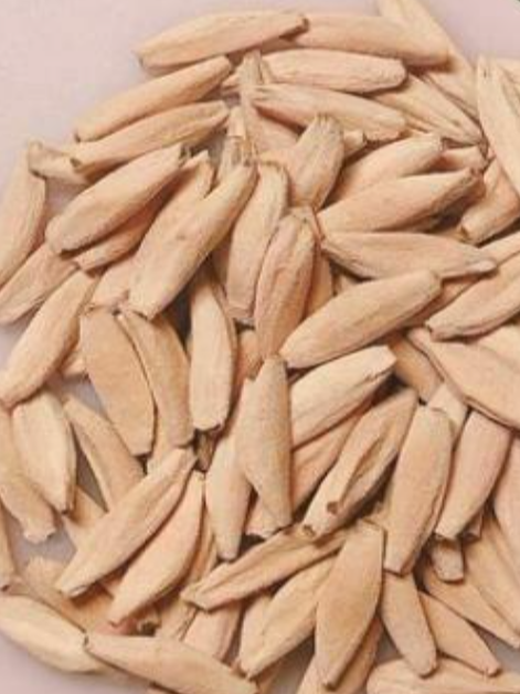 Adenium Big Foot 6 Pieces Seeds