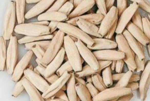 Adenium nang paya 6 Pieces Seeds