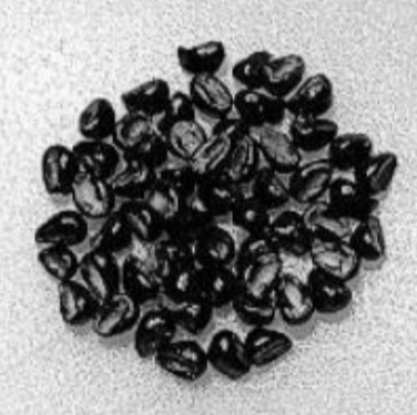 Astrophytum myrio onzuka 10 Pieces Seeds