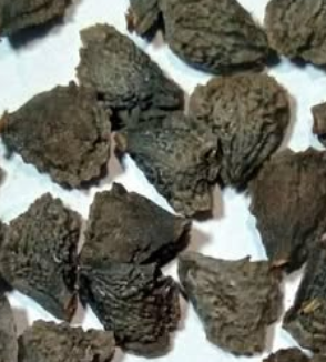 Uncarina peltata 5 Pieces Seeds