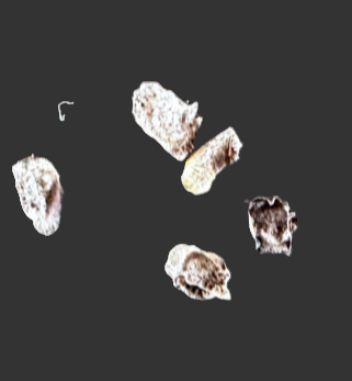 Aloe deltoideodonta v candicans 20 Pieces Seeds