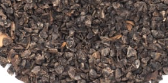 Aloe camperi 20 Pieces Seeds