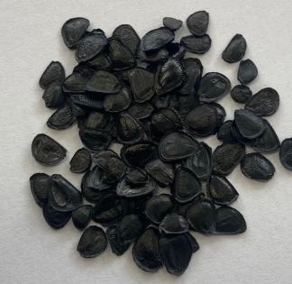 Agave horrida 10 Pieces Seeds