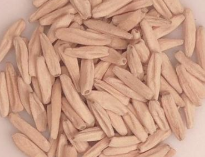 Adenium Black Muangkot 6 Pieces Seeds