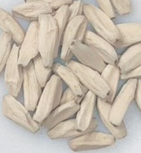 Adenium D.H.A PPL 5 Pieces Seeds