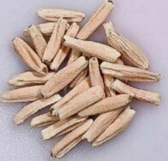 Adenium White House 5 Pieces Seeds