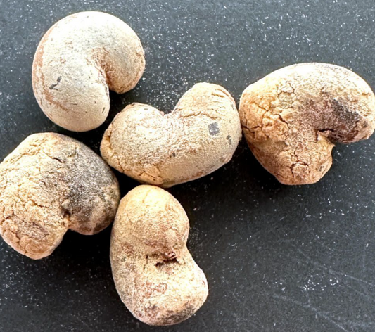 Adansonia za var. bozy 10 Pieces Seeds