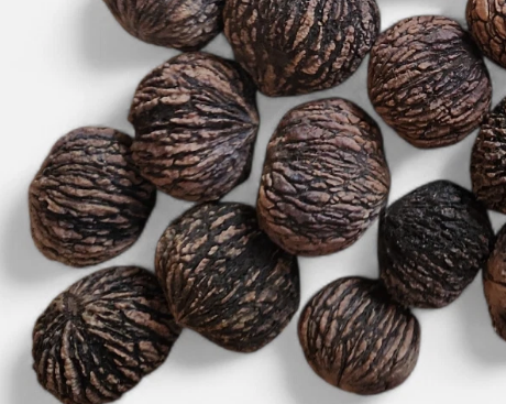 Juglans nigra ( black walnut ) 5 Pieces Seeds