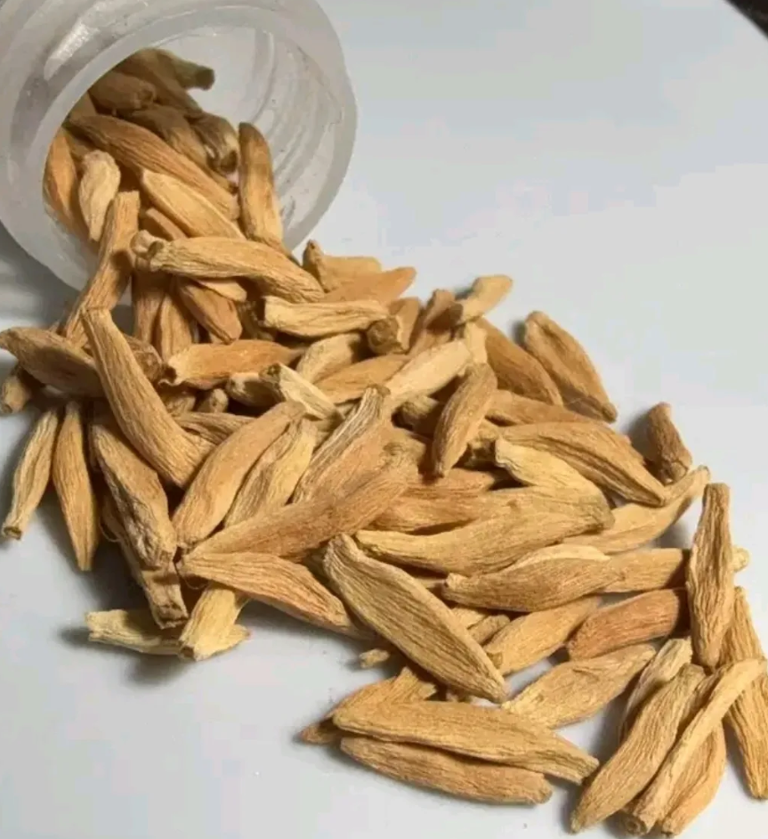 Adenium socotranum 8 Pieces Seeds