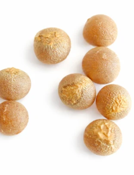 Dracaena fragrans var. massangeana 5 Pieces Seeds