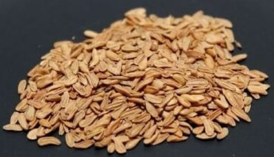 Pachypodium brevicalyx 10 Pieces Seeds